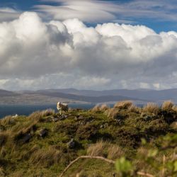 img 3175   irland