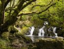 img 3190   irland
