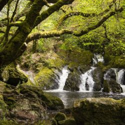 img 3190   irland