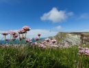img 3715   irland