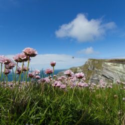 img 3715   irland