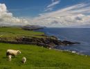 img 6765   irland