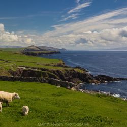 img 6765   irland