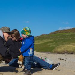 img 7454   irland