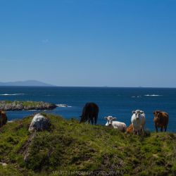img 7547   irland